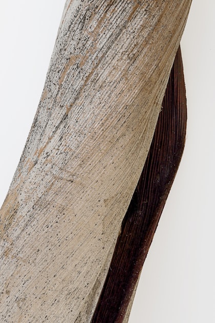 Biodegradable Products for Sustainable Living